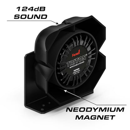 Triton 100 Watt Speaker