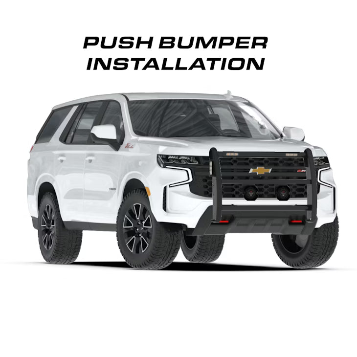 Triton 100 Watt Speaker