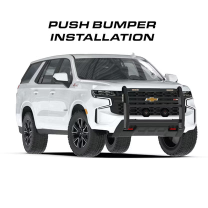 Triton 100 Watt Speaker